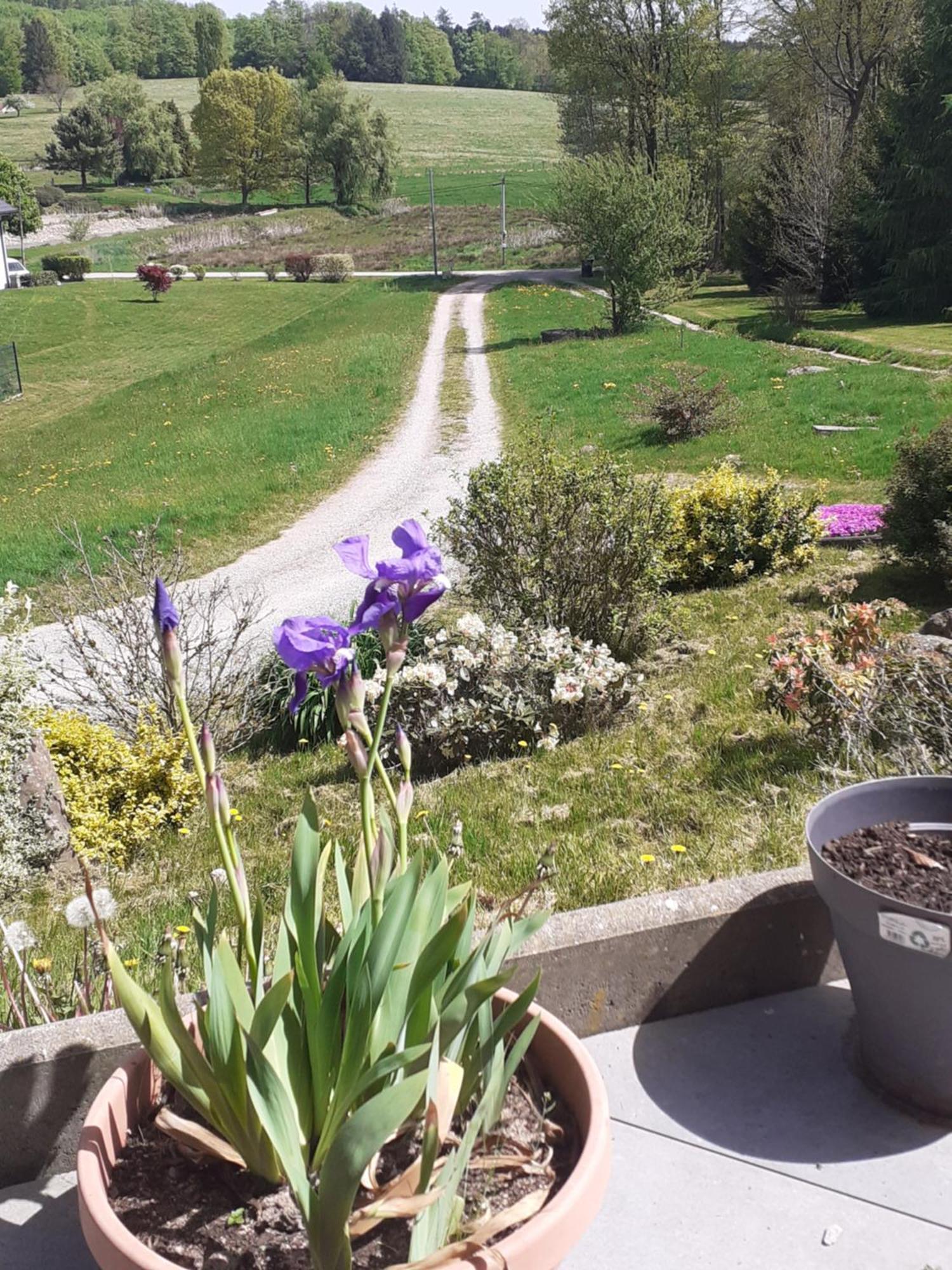 Chez Papy Bed & Breakfast Bellefontaine  Luaran gambar
